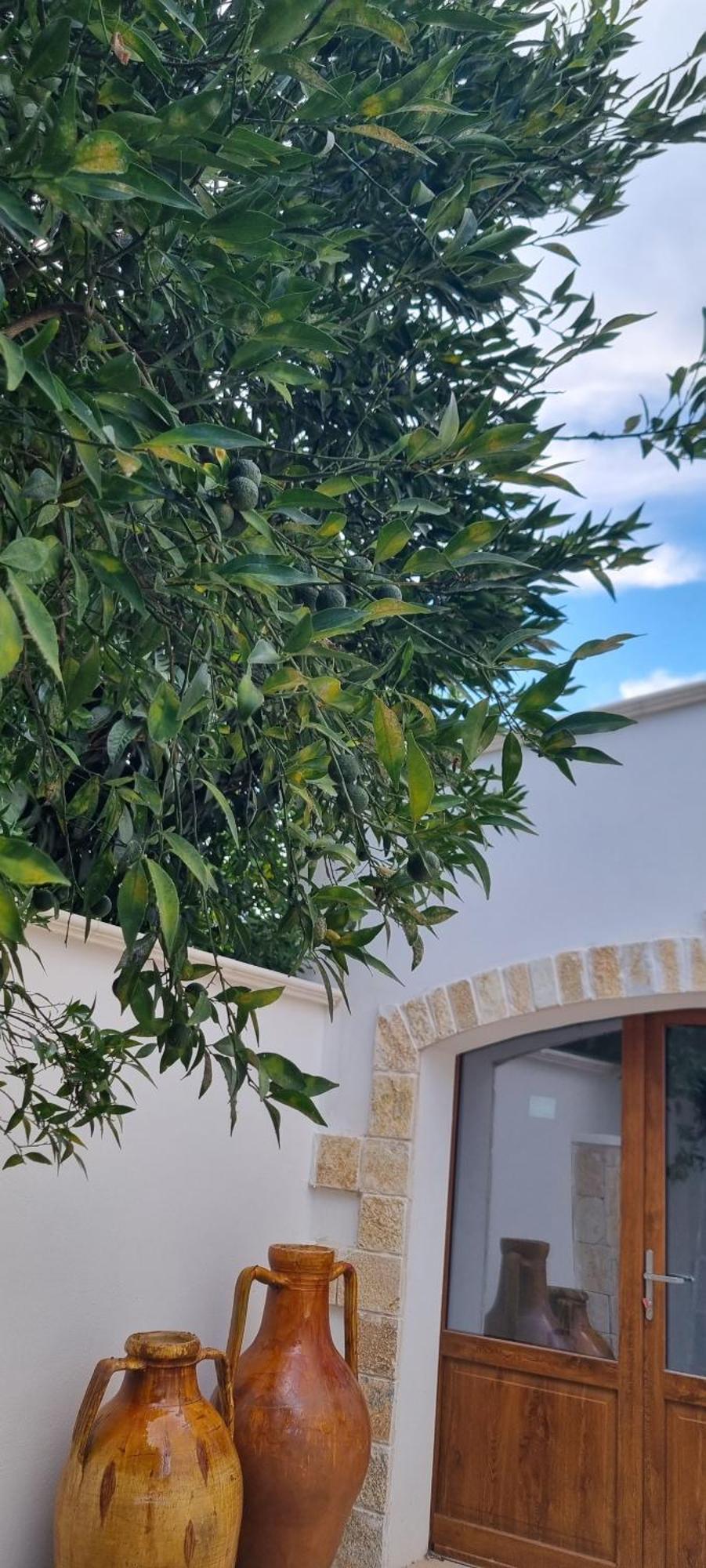 Villa Guajira Bari Eksteriør bilde