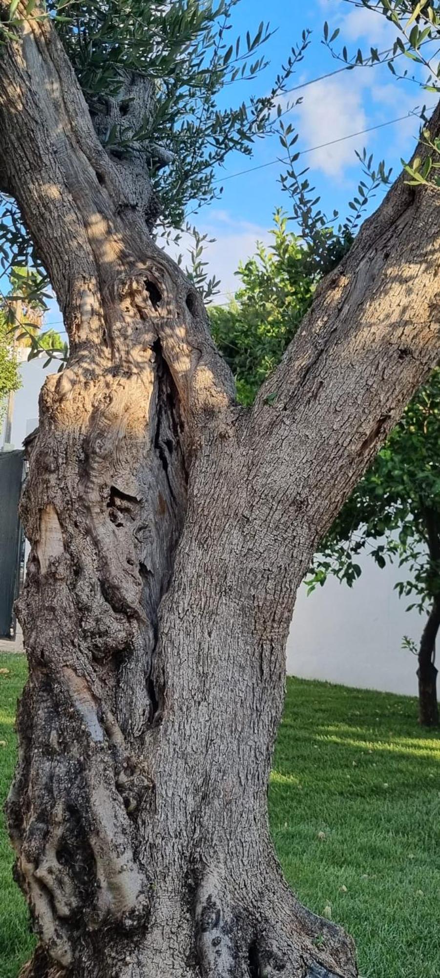 Villa Guajira Bari Eksteriør bilde