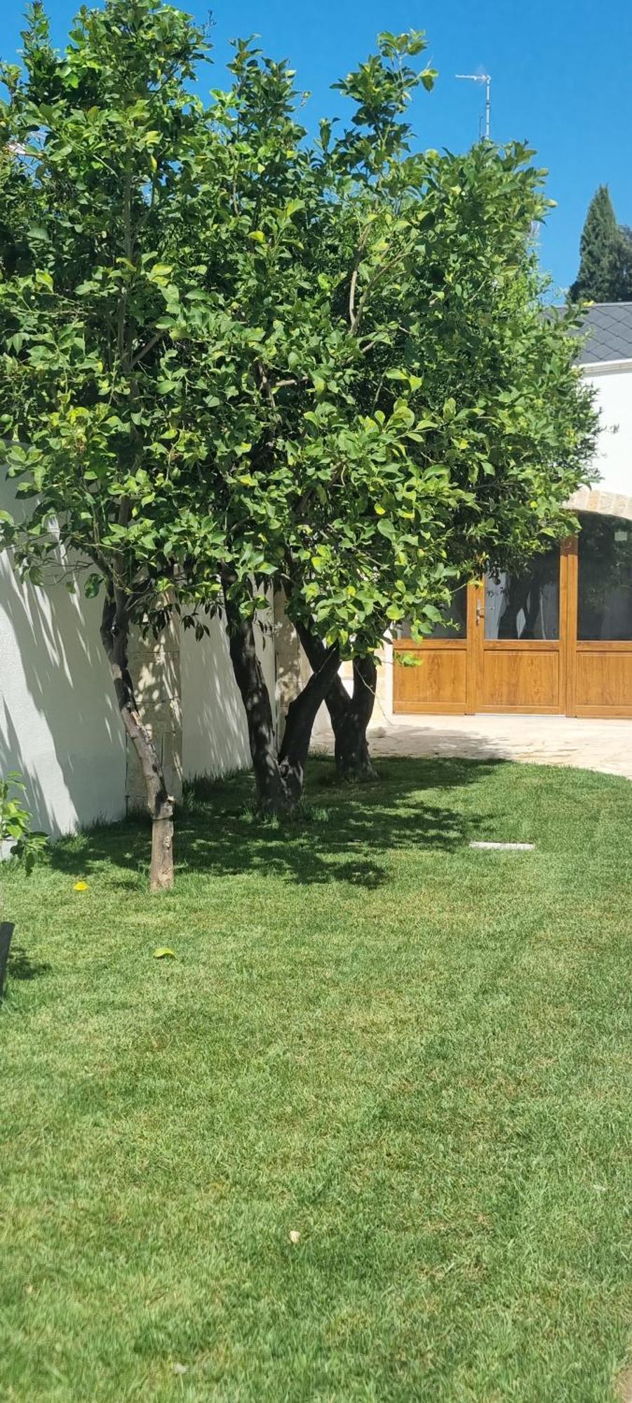 Villa Guajira Bari Eksteriør bilde