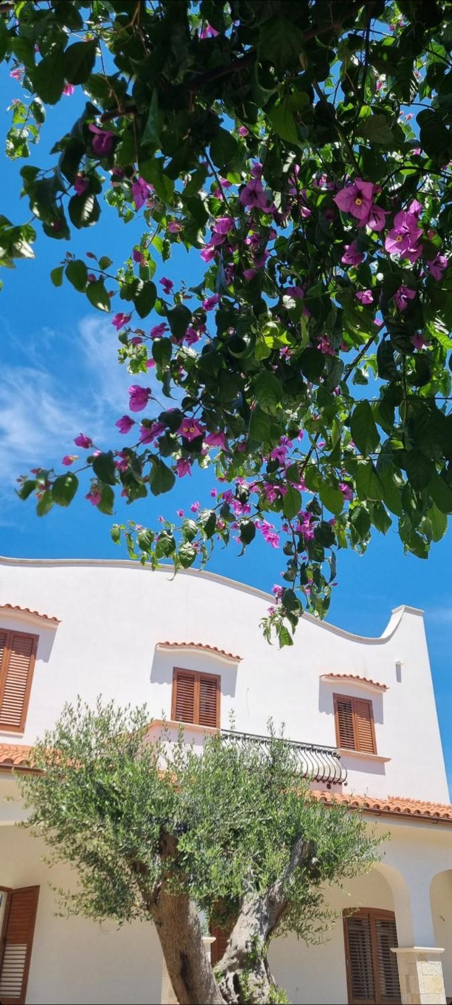 Villa Guajira Bari Eksteriør bilde